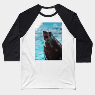 Pinniped Friend Baseball T-Shirt